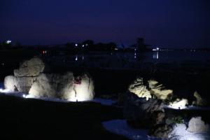 桃花源夜景3